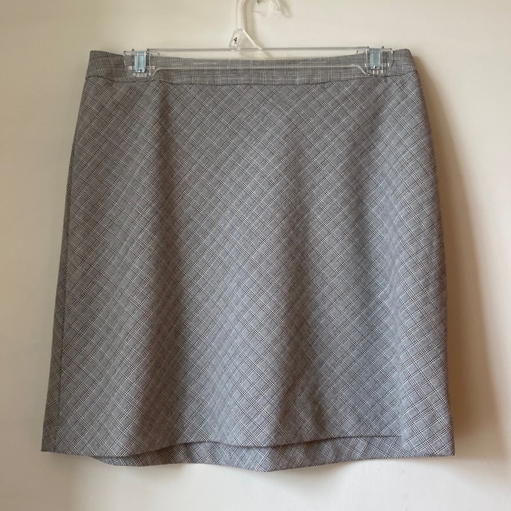 ⭐️The Limited Stretch Skirt size 6.